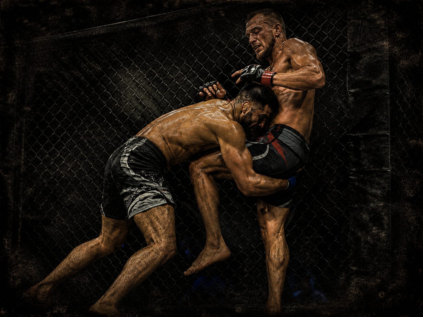 Mixed Martial Arts training