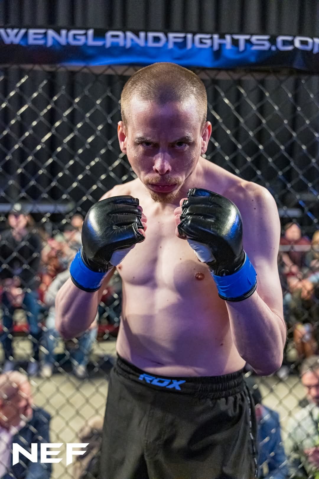 Fight Night